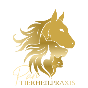 Logo Tierheilpraxis Pan gold